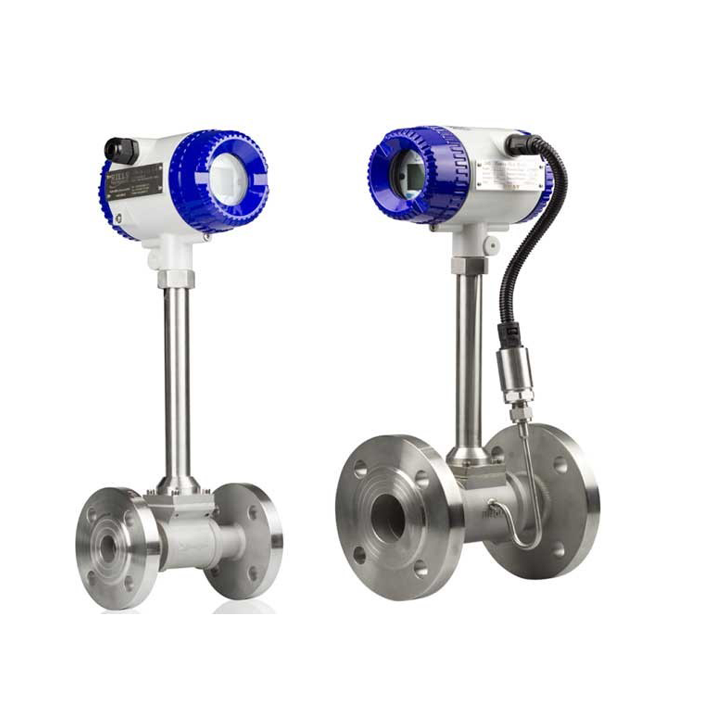 ĐỒNG HỒ ĐO LƯU LƯỢNG HƠI- RIF300